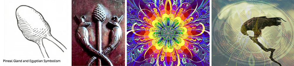 Endogenous DMT – Technology for Natural Magic